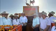 Rajasthan Minister: Great Indian Bustard Chicks to Be Released into Wild Soon