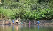 Ranganathittu Bird Sanctuary: Where Cauvery Cradles Birdlife