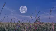 Rare Blue Moon and Micromoon to Light Up Weekend Sky