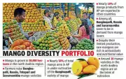 Rare Mango Varieties Facing Extinction in North Coastal Andhra