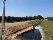 Rs 97 Lakh Canal Irrigation Project Launched in Manawali Village