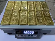 SAD Says Gold Duty Hike to Hurt Bullion Trade and Artisans