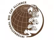 Saudi Arabia to Join India-Led International Big Cat Alliance as 26th Member