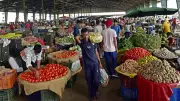 SBI Report: West Asia Conflict Impact on India Retail Inflation Limited So Far