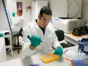 Scientists Reverse Memory Loss by Recharging Brain's Tiny Engines