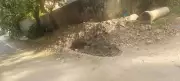 Sector 31 Residents Fear Another Monsoon of Waterlogging Due to Poor Drainage