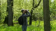 Serbian Bird Group Buys Forest via Crowdfunding to Protect Wildlife