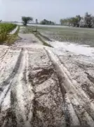Severe Thunderstorms and Hailstorms Wreak Havoc in North India