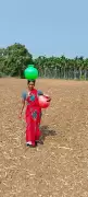 Severe water crisis in Davanagere forces residents to steal drinking water