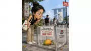 Singapore Fine for Picking Fallen Mangoes Shocks Indians
