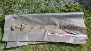 Six-Year-Old Boy Discovers Ancient Viking Sword in Norwegian Field