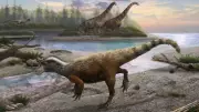 Slow-Moving Dinosaur Footprints in China Challenge Prehistoric Predator Stereotypes