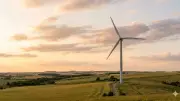 Snake-Inspired Paint on Wind Turbines May Reduce Bird Collisions
