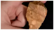 Stone Flakes in Indonesia Rewrite Early Human Migration Timeline