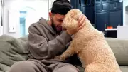 Streamer Brawadis Loses Beloved Dog Booker to Lymphoma Cancer
