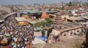 Strict Action Against Stray Animals Near Renuka Yallamma Temple
