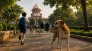 Supreme Court Flags Disturbing Rise in Dog Bite Cases Across India