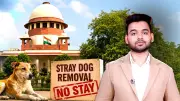 Supreme Court Refuses Stay on Stray Dog Removal, Orders ABC Rule Compliance