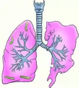 Survey: 1 in 5 Mumbai Teens' Fathers Use Tobacco, Normalizing Habit