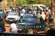 Tadoba Tiger Reserve Plans Shift to Electric Tourist Vehicles