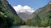 Tea grower Butail informs NGT of Kasol hydro project transfer to new firm