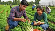 Telangana Launches BBA in Food Technology, Food Security and Agriculture