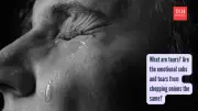 Three Types of Tears: Basal, Reflex, and Emotional Explained