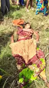Tiger Kills Woman in Katarniaghat Sanctuary; Dispute Over Attack Location