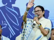 TMC Moves Supreme Court Against HC Order on Counting Staff