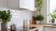 Top 5 Low-Maintenance Plants for Your Smart Kitchen Garden