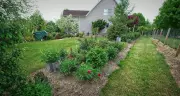 Transform Narrow Garden Beds with Vertical Plants and Smart Design