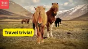 Travel Trivia: 10 Countries Famous for What They Don’t Have