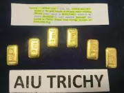 Trichy Airport Staff Recovers 600g Gold Bars from Flight Lavatory