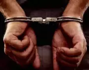 Truck Driver Arrested for Reckless Driving in Palghar, Narrowly Avoids Tragedy