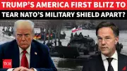 Trump May Slash US Military Assets for NATO, Rattling European Allies