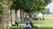 Urban Tree Cooling Weakest in Poorer, Hotter Cities: Study