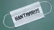 US Evacuees from Hantavirus Cruise Ship: One Symptomatic, One Test Positive