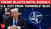 US Threatens to Pull Troops from Europe, NATO Allies Called 'Horrible'
