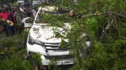 Uttar Pradesh Storms and Rains Claim 142 Lives, Devastate Crops