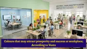 Vastu Tips: Choose Office Colors for Success and Prosperity