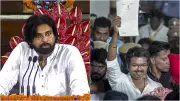 Vijay vs Pawan Kalyan: Contrasting Political Journeys in South India