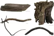 Viking Settlement in Newfoundland: How a Fisherman's Tip Led to a 1021 Discovery