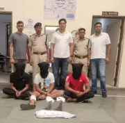 Wanted Criminal's Aides Held After Encounter in Mahendragarh's Narnaul