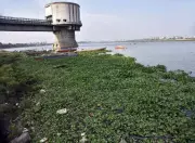 Water Release from Ukai Dam Ensures Surat's Drinking Supply