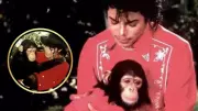Where Is Michael Jackson's Pet Chimp Bubbles Now? 2025 Update