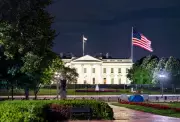 White House to Host UFC-Style Cagefight Event on June 14