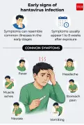 WHO Issues Advisory on Hantavirus: Symptoms, Prevention, and Risks