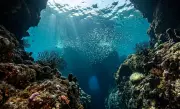 Why All Five Deepest Ocean Trenches Are in the Pacific