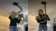 Woman Calmly Removes Two Giant Pythons from Ceiling in Viral Video