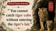 You Cannot Catch Tiger Cubs Without Entering the Tiger's Lair: A Chinese Proverb on Courage